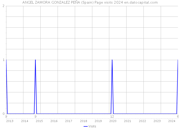 ANGEL ZAMORA GONZALEZ PEÑA (Spain) Page visits 2024 