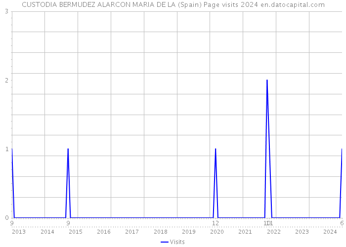 CUSTODIA BERMUDEZ ALARCON MARIA DE LA (Spain) Page visits 2024 