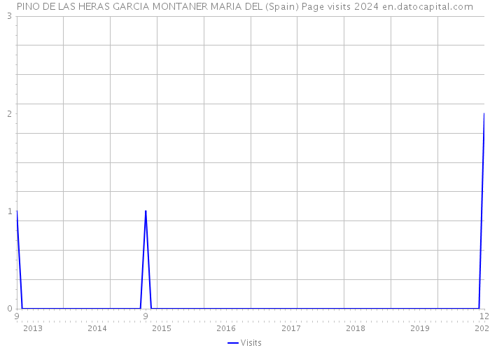 PINO DE LAS HERAS GARCIA MONTANER MARIA DEL (Spain) Page visits 2024 