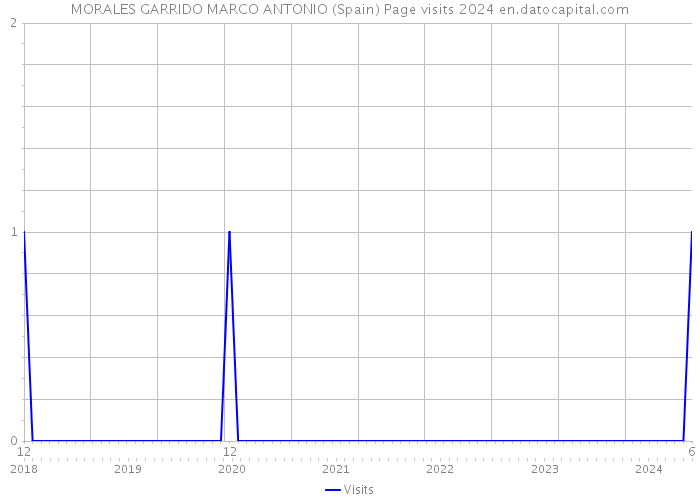 MORALES GARRIDO MARCO ANTONIO (Spain) Page visits 2024 