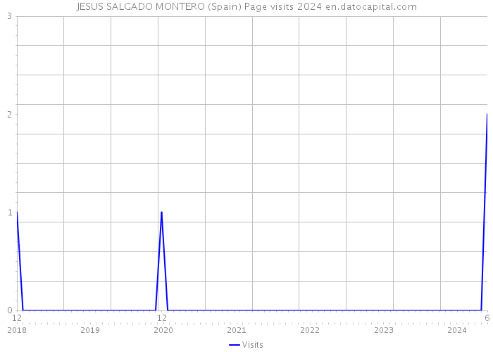 JESUS SALGADO MONTERO (Spain) Page visits 2024 