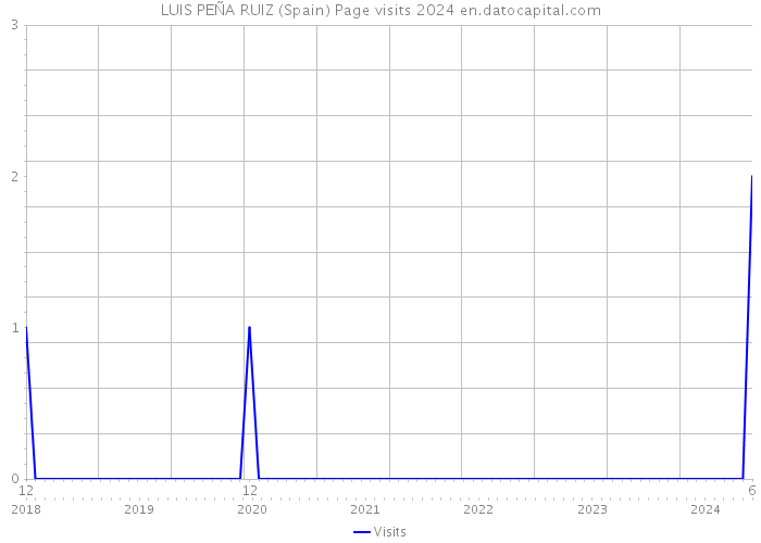 LUIS PEÑA RUIZ (Spain) Page visits 2024 