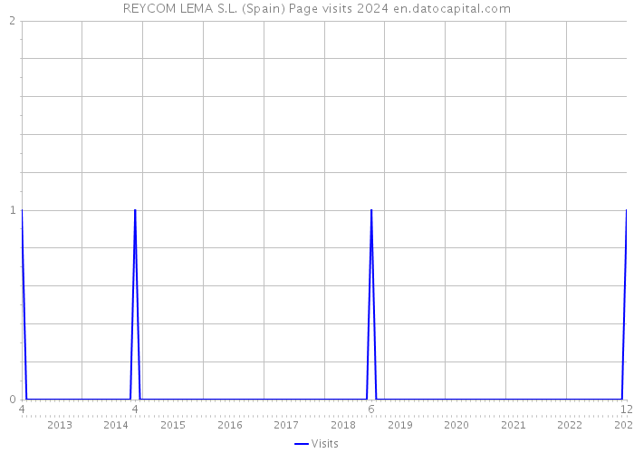 REYCOM LEMA S.L. (Spain) Page visits 2024 