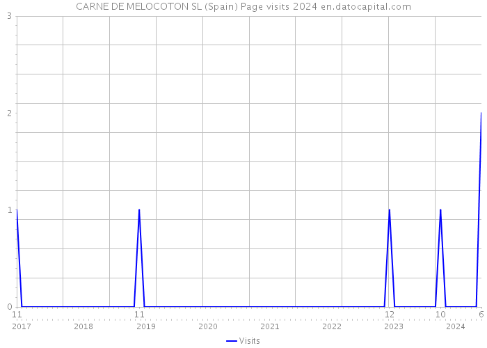 CARNE DE MELOCOTON SL (Spain) Page visits 2024 