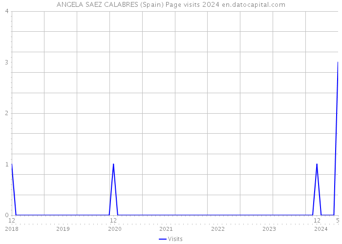 ANGELA SAEZ CALABRES (Spain) Page visits 2024 