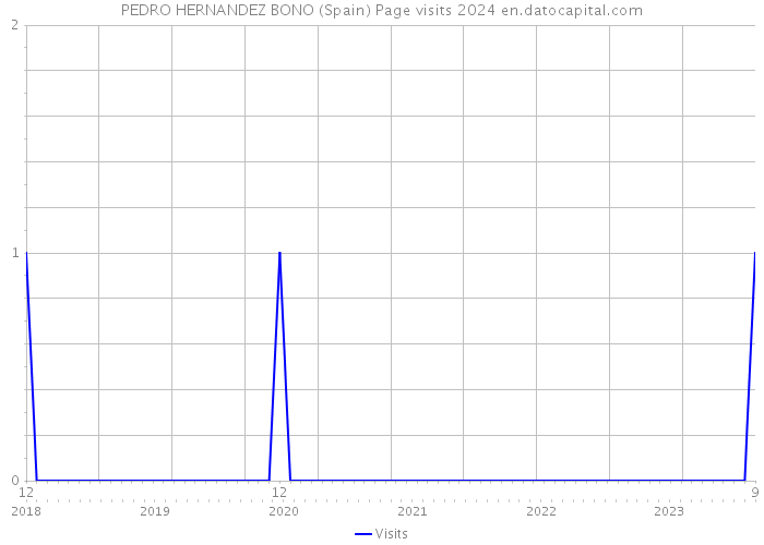 PEDRO HERNANDEZ BONO (Spain) Page visits 2024 