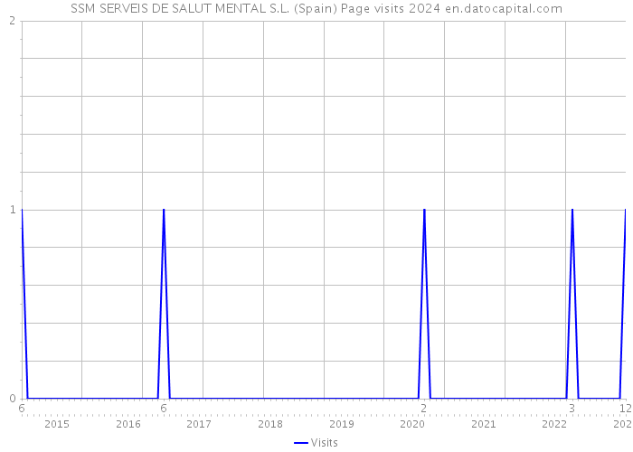 SSM SERVEIS DE SALUT MENTAL S.L. (Spain) Page visits 2024 