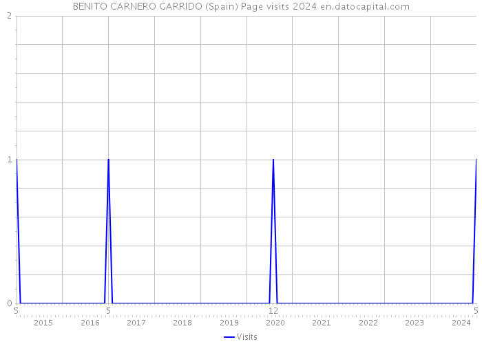 BENITO CARNERO GARRIDO (Spain) Page visits 2024 