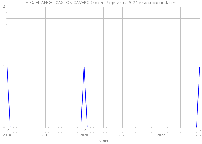 MIGUEL ANGEL GASTON CAVERO (Spain) Page visits 2024 