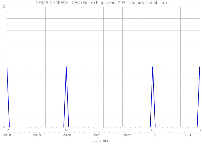 CESAR CARREGAL CEA (Spain) Page visits 2024 