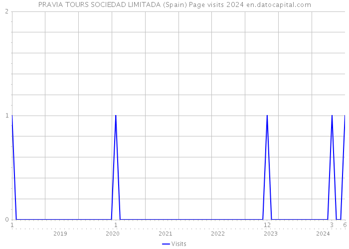 PRAVIA TOURS SOCIEDAD LIMITADA (Spain) Page visits 2024 