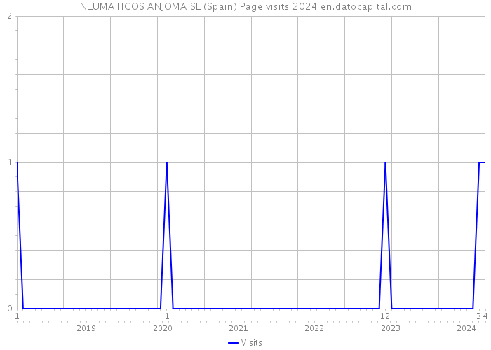NEUMATICOS ANJOMA SL (Spain) Page visits 2024 