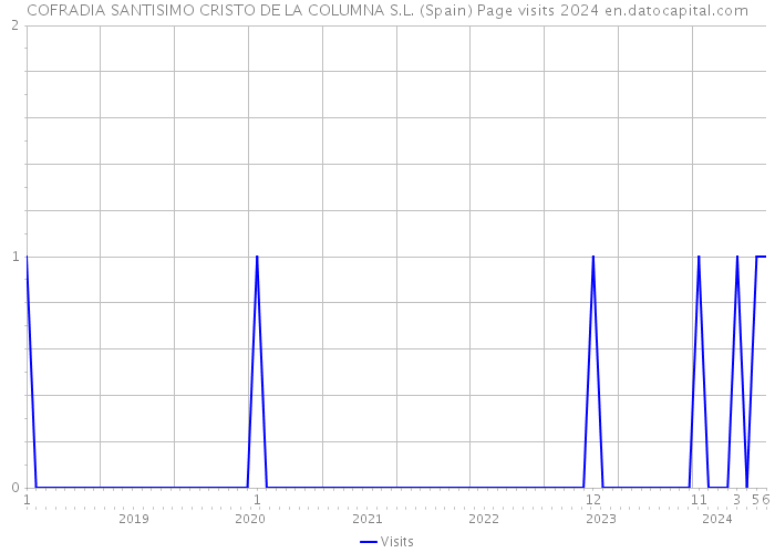 COFRADIA SANTISIMO CRISTO DE LA COLUMNA S.L. (Spain) Page visits 2024 