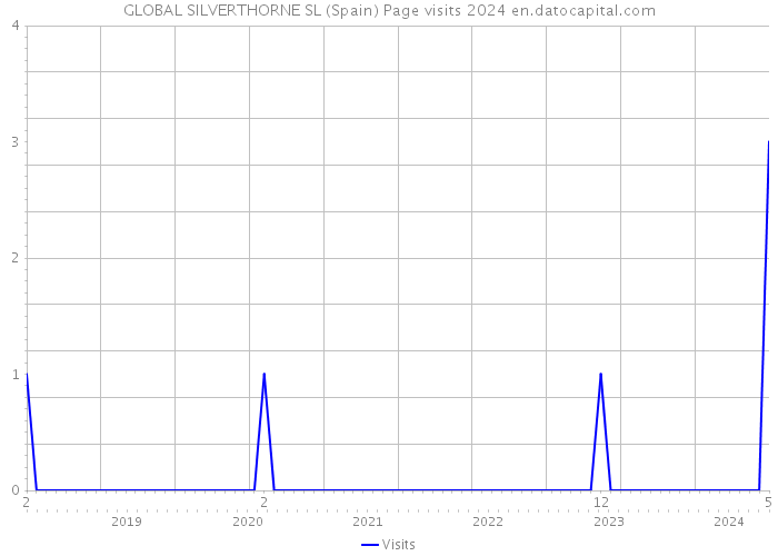 GLOBAL SILVERTHORNE SL (Spain) Page visits 2024 