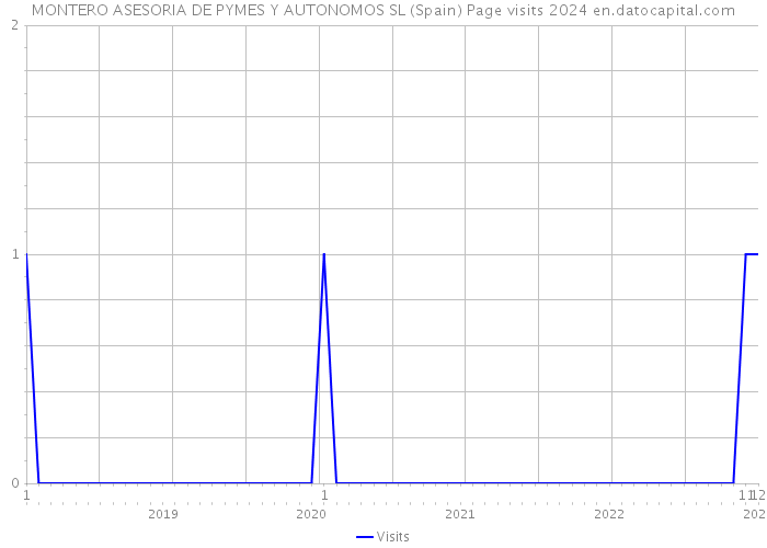 MONTERO ASESORIA DE PYMES Y AUTONOMOS SL (Spain) Page visits 2024 