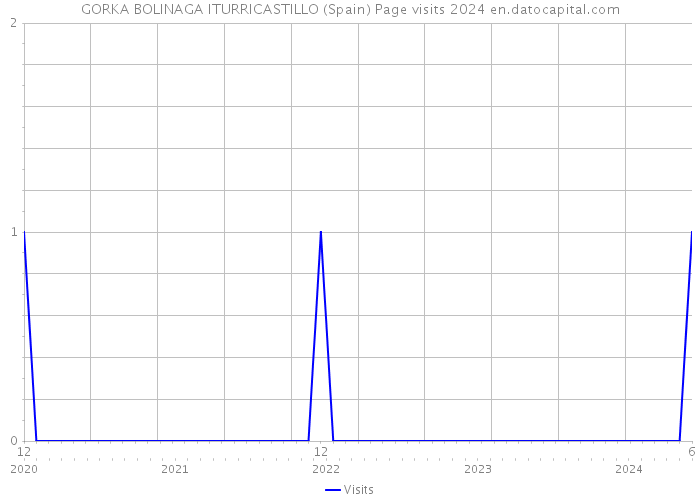 GORKA BOLINAGA ITURRICASTILLO (Spain) Page visits 2024 