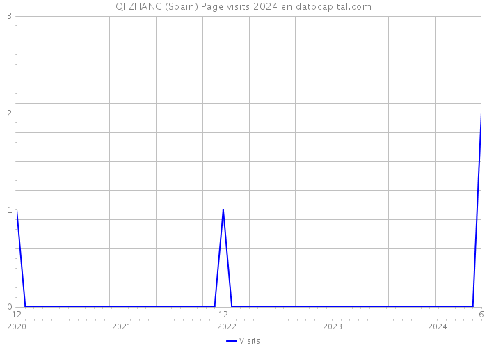 QI ZHANG (Spain) Page visits 2024 