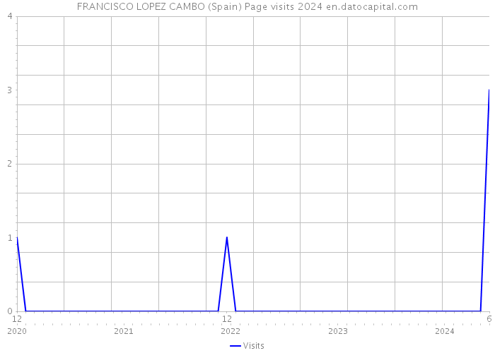 FRANCISCO LOPEZ CAMBO (Spain) Page visits 2024 