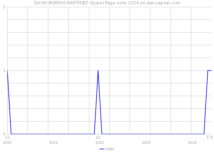 DAVID BORRAS MARTINEZ (Spain) Page visits 2024 