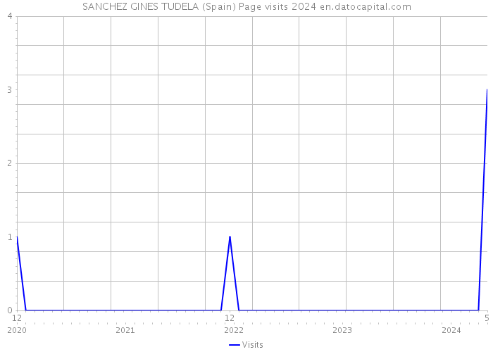 SANCHEZ GINES TUDELA (Spain) Page visits 2024 