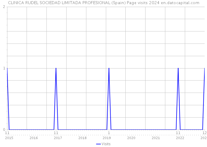 CLINICA RUDEL SOCIEDAD LIMITADA PROFESIONAL (Spain) Page visits 2024 