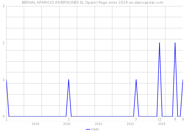 BERNAL APARICIO INVERSIONES SL (Spain) Page visits 2024 