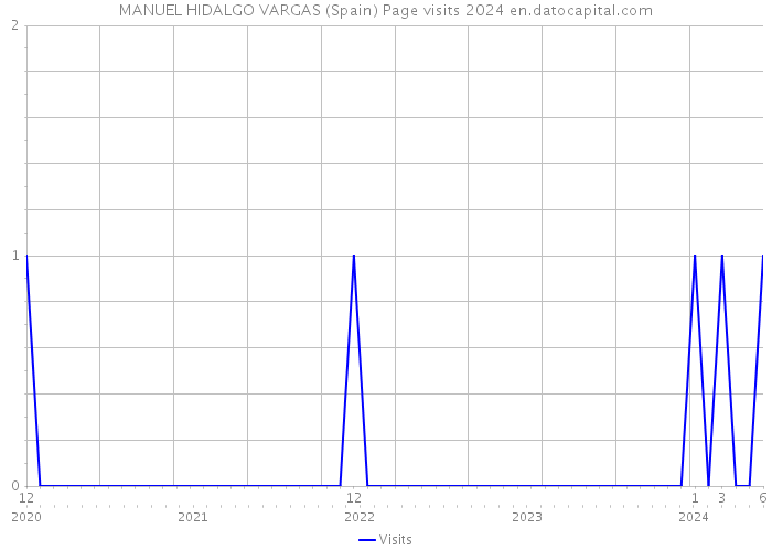 MANUEL HIDALGO VARGAS (Spain) Page visits 2024 