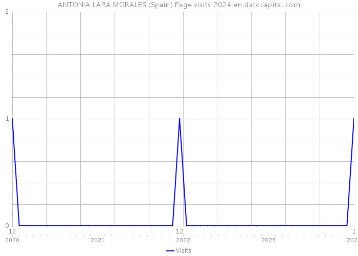 ANTONIA LARA MORALES (Spain) Page visits 2024 