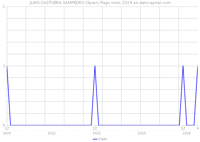 JUAN CASTUERA SAMPEDRO (Spain) Page visits 2024 