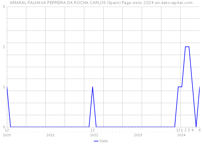 AMARAL PALHAVA FERREIRA DA ROCHA CARLOS (Spain) Page visits 2024 