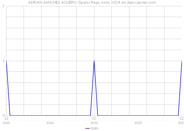 ADRIAN SANCHEZ AGUERO (Spain) Page visits 2024 