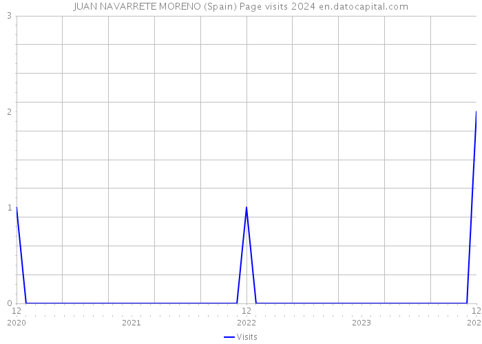 JUAN NAVARRETE MORENO (Spain) Page visits 2024 