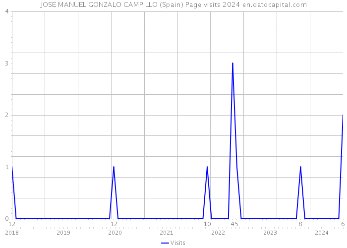 JOSE MANUEL GONZALO CAMPILLO (Spain) Page visits 2024 