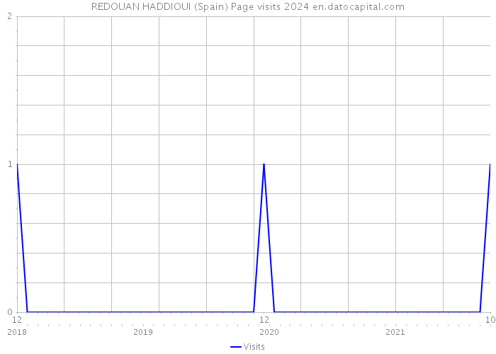 REDOUAN HADDIOUI (Spain) Page visits 2024 
