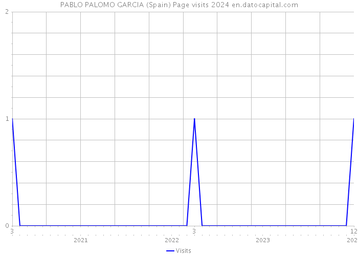 PABLO PALOMO GARCIA (Spain) Page visits 2024 