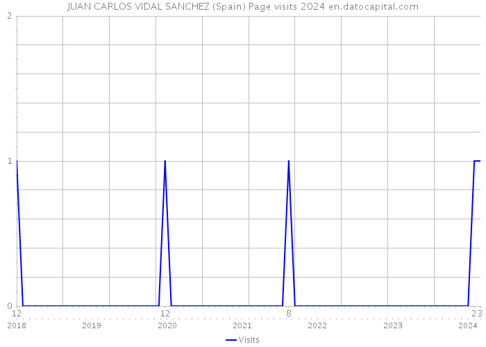 JUAN CARLOS VIDAL SANCHEZ (Spain) Page visits 2024 