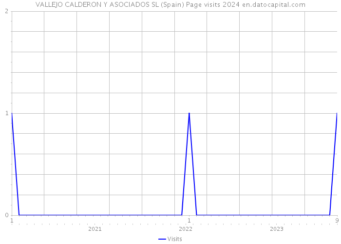VALLEJO CALDERON Y ASOCIADOS SL (Spain) Page visits 2024 