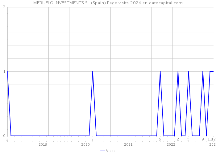 MERUELO INVESTMENTS SL (Spain) Page visits 2024 