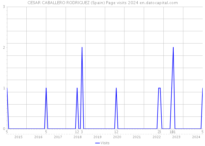 CESAR CABALLERO RODRIGUEZ (Spain) Page visits 2024 