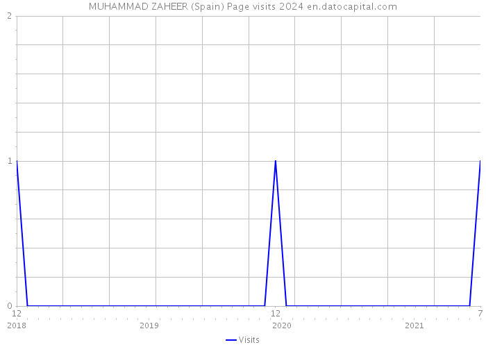 MUHAMMAD ZAHEER (Spain) Page visits 2024 