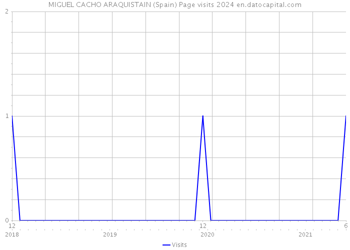 MIGUEL CACHO ARAQUISTAIN (Spain) Page visits 2024 