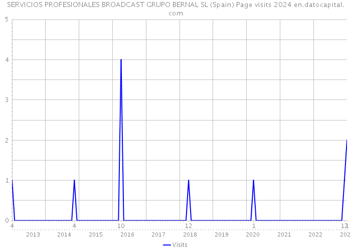 SERVICIOS PROFESIONALES BROADCAST GRUPO BERNAL SL (Spain) Page visits 2024 