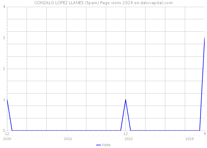 GONZALO LOPEZ LLANES (Spain) Page visits 2024 