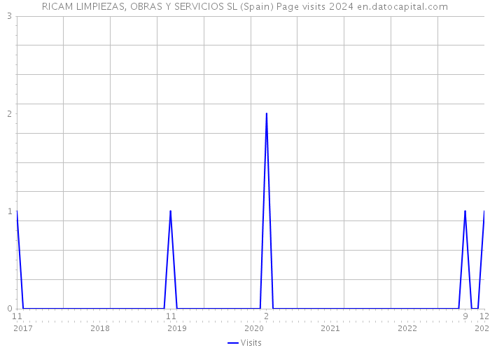 RICAM LIMPIEZAS, OBRAS Y SERVICIOS SL (Spain) Page visits 2024 