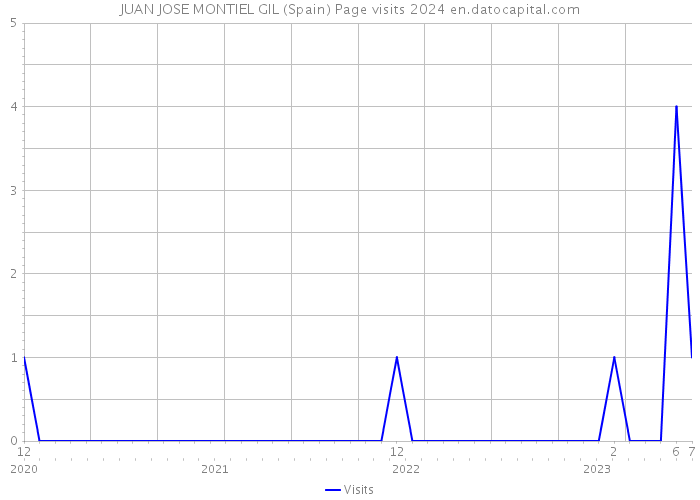 JUAN JOSE MONTIEL GIL (Spain) Page visits 2024 