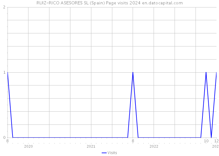 RUIZ-RICO ASESORES SL (Spain) Page visits 2024 