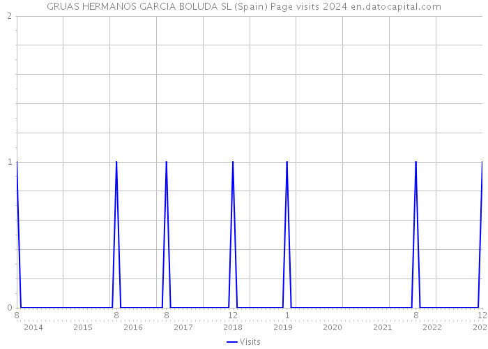 GRUAS HERMANOS GARCIA BOLUDA SL (Spain) Page visits 2024 