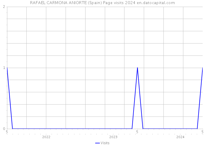 RAFAEL CARMONA ANIORTE (Spain) Page visits 2024 
