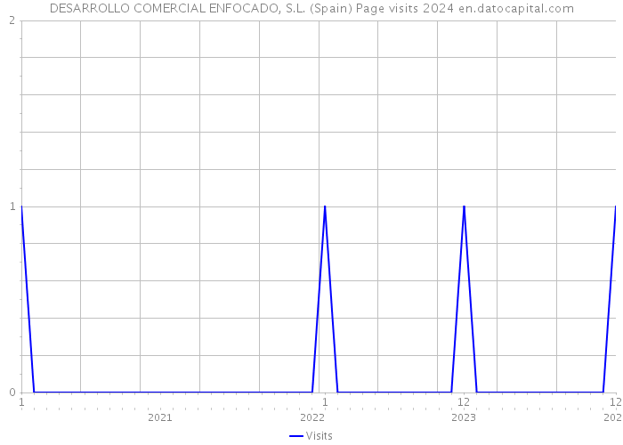 DESARROLLO COMERCIAL ENFOCADO, S.L. (Spain) Page visits 2024 
