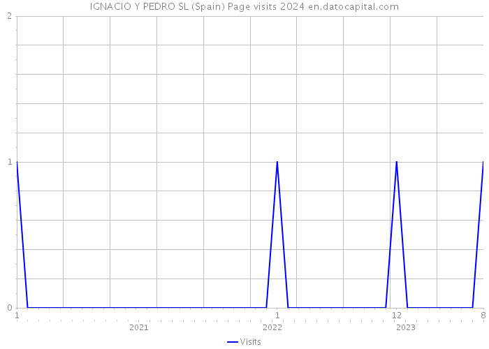 IGNACIO Y PEDRO SL (Spain) Page visits 2024 